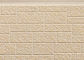 Customized Color Steel Polyurethane Foam Sandwich Panels For Exterior Wall